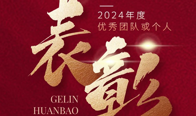 閣林先鋒 榜樣力量 | 2024年度優(yōu)秀團(tuán)隊(duì)或個(gè)人表彰名單