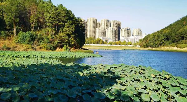 樅陽(yáng)縣城區(qū)水環(huán)境綜合治理PPP項(xiàng)目