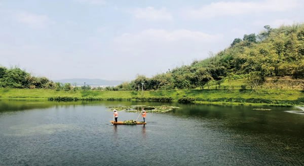 智慧城生態(tài)保育區(qū)生態(tài)環(huán)境保護(hù)工程EPC工程