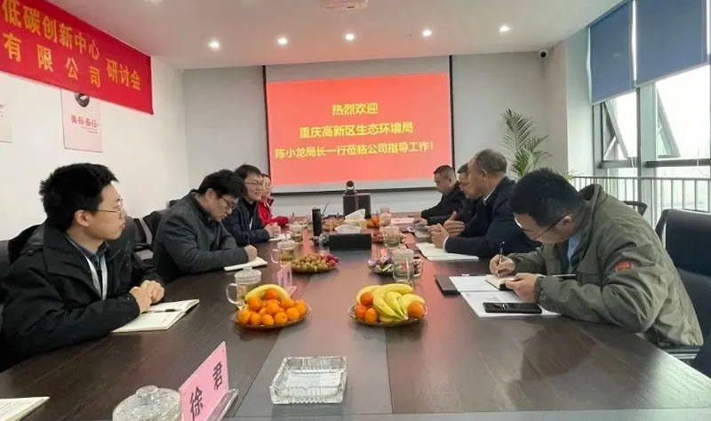 新聞快訊丨重慶高新區(qū)生態(tài)環(huán)境局陳小龍局長一行到訪公司指導工作