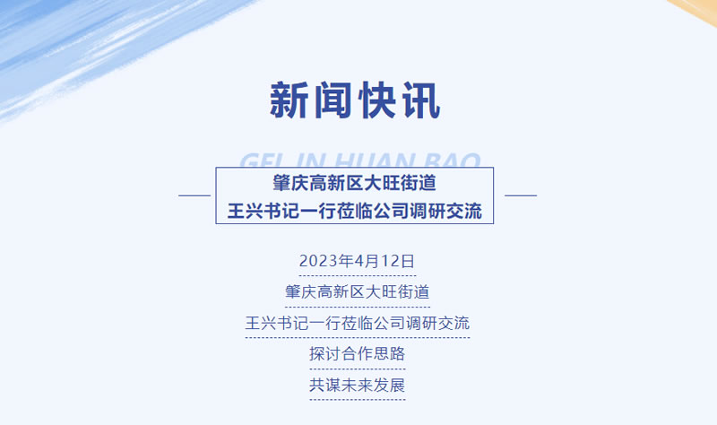 新聞快訊 | 肇慶高新區(qū)大旺街道王興書記一行蒞臨公司調(diào)研交流