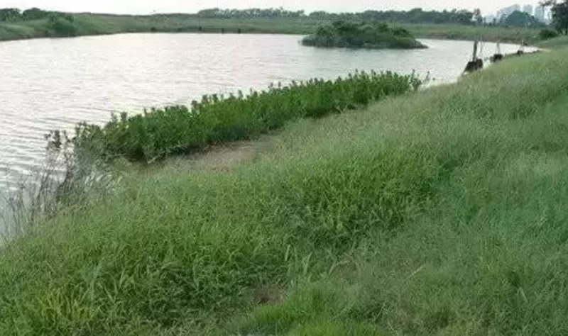 三部門(mén)聯(lián)合發(fā)文推進(jìn)山水林田湖生態(tài)保護(hù)修復(fù)工程