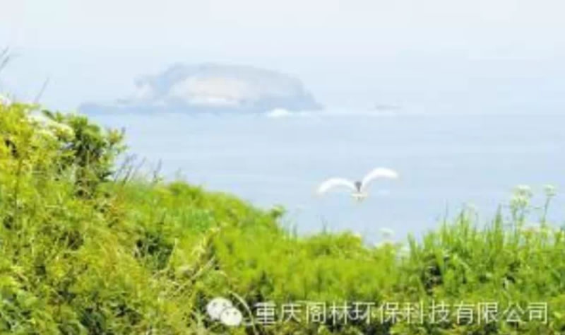 環(huán)境修復(fù)投資需超十萬億