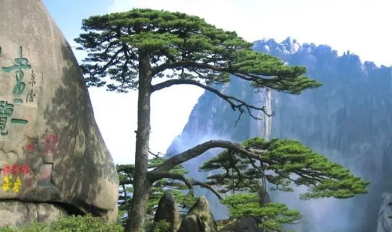 【地方動態(tài)】安徽試點建設(shè)“海綿城市”