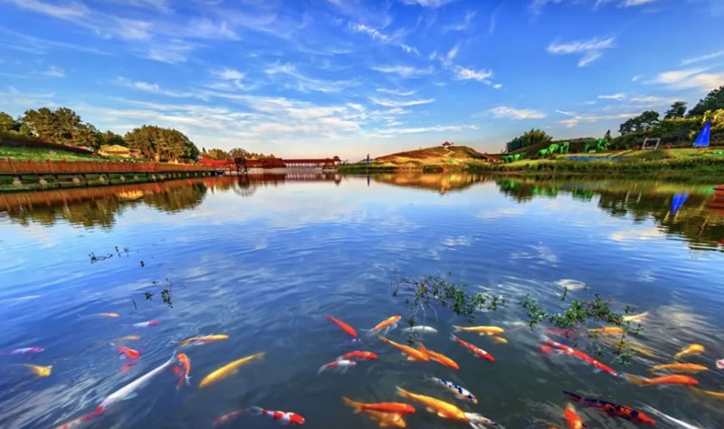 轉(zhuǎn)載 | 全市農(nóng)村黑臭水體清零區(qū)縣創(chuàng)建暨農(nóng)村生活污水治理工作現(xiàn)場推進會召開